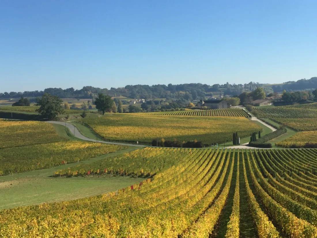 Un vignoble à Belle-île ?